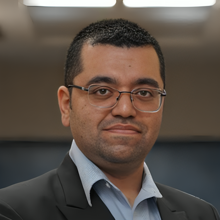 Raman Narang